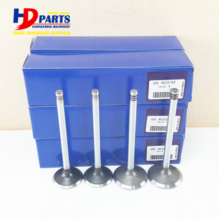 Volvo Engine Part EC290 D7D Intake Valve And Exhaust Valve 