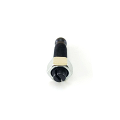 valve adjusting bolt