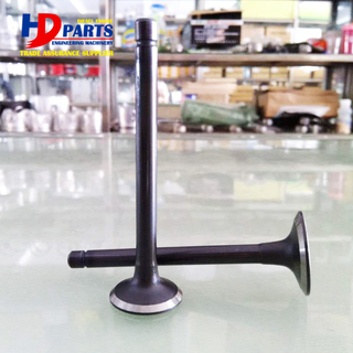 Diesel Engine Valve Part D1503 Valve Intake And Valve EXhaust 