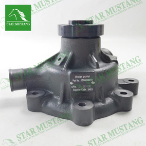 Construction Machinery Excavator TBD226 Water Pump Engine Repair Parts 1000054019