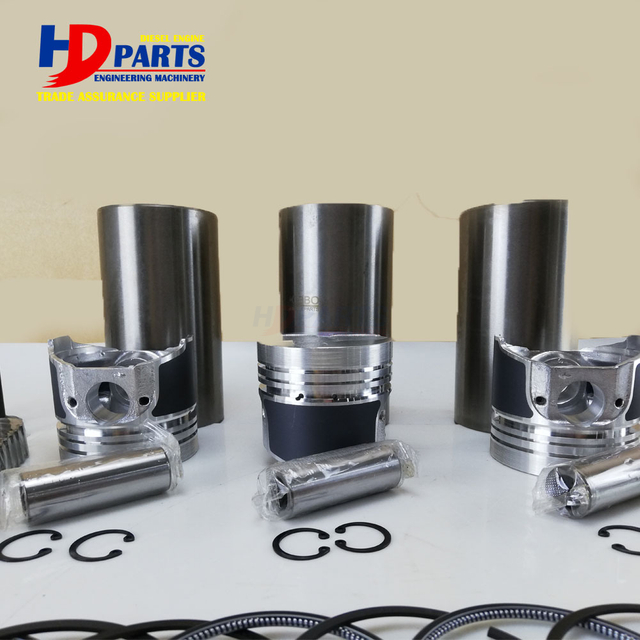 Diesel Engine Spare Parts D1005 Engine Repair Kit