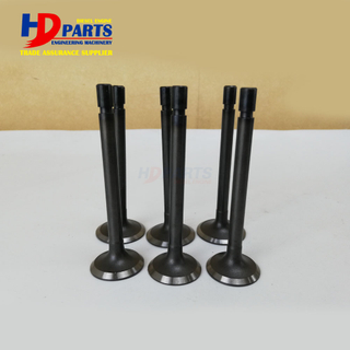 Diesel Engine Spare Parts D1005 Engine Valve Intake And Exhaust